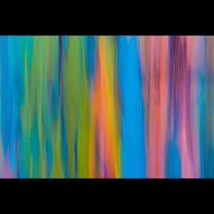 Trading MK, Necklace and Kate Spade Card Case.